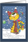 Merry Christmas for Grandma and Grandpa Decorated Cat card