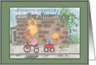 Congratulations on Becoming Big Sister New Brother Ducks card