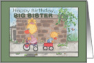 Happy Birthday for Big Sister from Brother Boy and Girl Ducks card