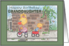 Happy Birthday for Granddaughter Boy and Girl Ducks card