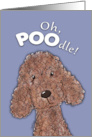 Humorous Belated Birthday Wish with Poodle card
