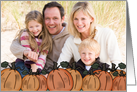 Thanksgiving- Customizable Photo Card-Pumpkin Patch card
