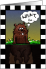 Humorous Groundhog Day Fat Groundhog card