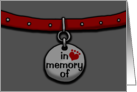 Loss of Pet Sympathy In Memory Collar Gray Background card