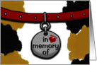 Loss of Cat Sympathy In Memory Collar Calico Background card