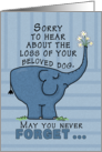 Pet Loss Sympathy for Dog-Elephant with Flowers card