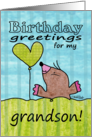 Happy Birthday for Grandson-Mole with Balloon card