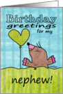 Happy Birthday for Nephew-Mole with Balloon card