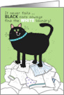 Humorous Happy Birthday Black Cat on a Pile of White Laundry card