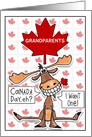 Customizable Canada Day Grandparents Funny Grinning Moose Maple Leaf card