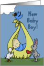 Baby Boy Birth Annoucement Baby Bundle with Animals card