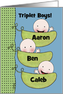 Customizable Congratulations Triplet Boys-Peapod Babies light skin card