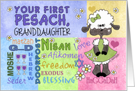 Customizable First Passover/Pesach for Granddaughter-Little Lamb card