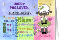 Customizable Happy Passover/Pesach for Granddaughter-Little Lamb card
