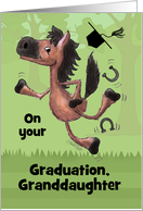 Congratulations on Your Graduation for Granddaughter-Horse Jumping card