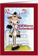 Merry Christmas Longhorn with Candy Cane Horns Yummy MMMerry Christmas card