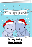 Hippo Holidays Two...