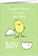 Congratulations on New Baby Boy Yellow Chick Hatched Egg on Green card