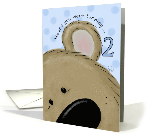 Second Birthday for Little Boy Bear's Ear Heard You Were... (1370852)