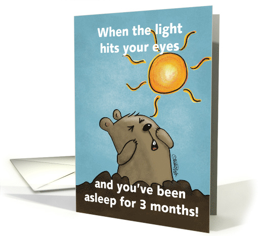 Humorous Happy Groundhog Day Groundhog Squints at the Sun card