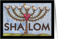 Shabbat Shalom Doves...