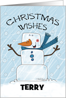 Christmas Wishes for Terry Customizable Name Ice Cube Man card