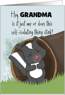 Customizable Self Isolation Stinks COVID 19 Miss You Grandma Skunk card