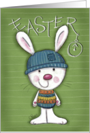 Easter Time Bunny with Decorated Vest card