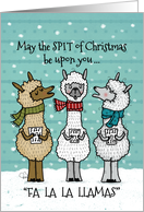 Humorous Merry Christmas Funny Singing Spitting Llamas card