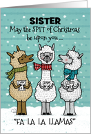 Humorous Merry Christmas for Sister Funny Singing Spitting Llamas Custom card