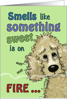 Cocker Spaniel Smells Burning Cake Getting Older Birthday Humor card