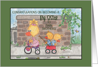 Congratulations Becoming Big Sister to Twin Brothers Cute Ducks card