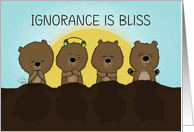 Happy Groundhog Day Ignorance is Bliss Groundhog Ignores Shadow card