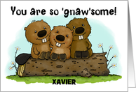 Customizable Happy Birthday Xavier You are Gnawsome Beaver Trio card