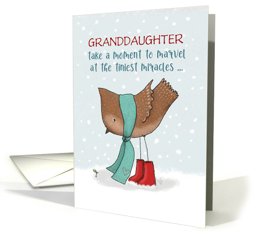 Merry Christmas Granddaughter Tiniest Miracles Bird Looks... (1934408)