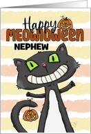 Happy Halloween Nephew Black Cat with Jack o lantern MEOwloween card