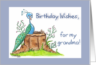 Peacock Birthday-grandma card