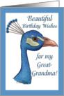 Peacock-Birthday for Great-Grandma card