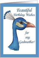 Peacock-Birthday for godmother card