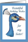 Peacock-Birthday for sister card