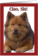 Chow Greetings! Birthday-Sister card