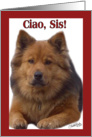 Chow Greetings! Birthday-Sister card