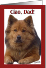 Chow Greetings! Birthday-Dad card