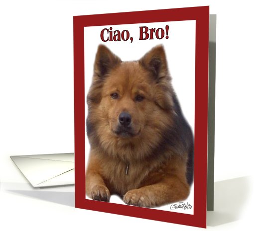 Chow Greetings! Birthday-Brother card (404744)