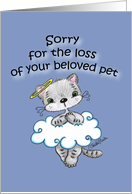 Sorry for the Loss of Your Cat Pet Sympathy Cat in a Cloud card