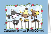Three Cows Mooing Congratulations on Job Promotion card