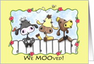 We Moved Three Cows Mooing New Home or Address card