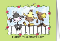 Three Cows Mooing Happy Mother’s Day card