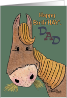Dad Birthday-Happy Birth’HAY’ Horse card
