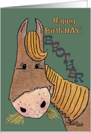 Brother Birthday-Happy Birth’HAY’ Horse card